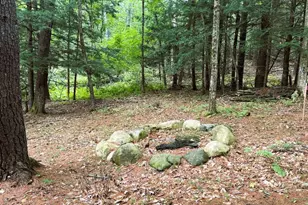 51 Beaver Dam Rd, Waterboro, ME 04061 - Photo 1