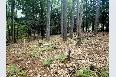 51 Beaver Dam Road, Waterboro, ME 04061 - Photo 7