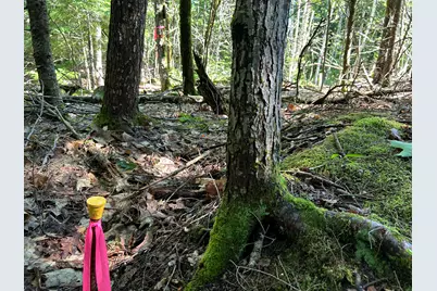 M8B40L3-1A Hamm Road, Frankfort, ME 04438 - Photo 23