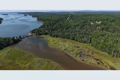 Lot 54 Pinkham Bay Bridge Road, Steuben, ME 04680 - Photo 9
