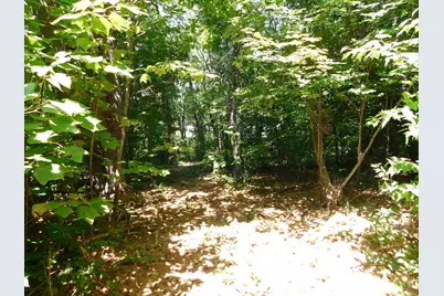 535 Betts Road, Bucksport, ME 04474 - Photo 117