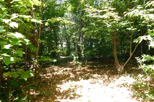 535 Betts Rd, Bucksport, ME 04474 - Photo 117
