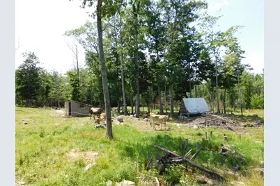 535 Betts Road, Bucksport, ME 04474 - Photo 67