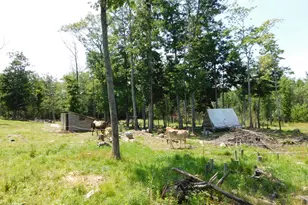 535 Betts Rd, Bucksport, ME 04474 - Photo 67