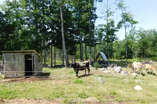 535 Betts Rd, Bucksport, ME 04474 - Photo 79