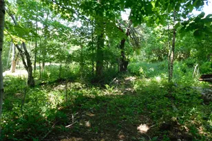 535 Betts Rd, Bucksport, ME 04474 - Photo 115