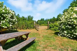 699 N High St, Bridgton, ME 04009 - Photo 11