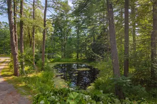36 Old Boston Rd, Arundel, ME 04046 - Photo 75
