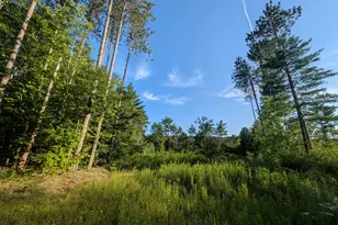 Lot # 2 Route 126 Rte, Litchfield, ME 04350 - Photo 1