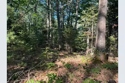 Lot 18B Waldoboro Road, Bremen, ME 04551 - Photo 9