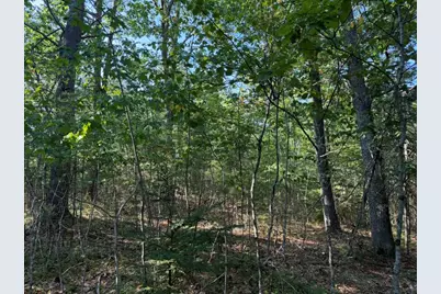 Lot 18B Waldoboro Road, Bremen, ME 04551 - Photo 5