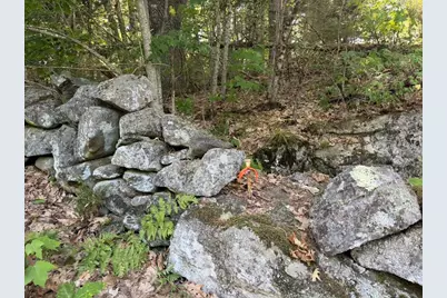 Lot 18B Waldoboro Road, Bremen, ME 04551 - Photo 7