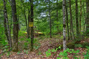 6 Lake Como Dr, Harmony, ME 04942 - Photo 55