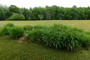 41 Brown Farm Rd, Solon, ME 04979 - Photo 19