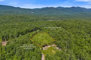 49 Fernalds Hill Way, Stow, ME 04037 - Photo 1