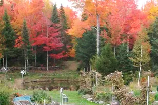 3373 Mariaville Rd, Mariaville, ME 04605 - Photo 3