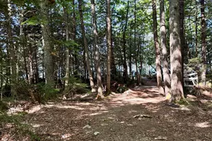 Lot 121 Upper Lead Mountain Pond Rd, T22 Md, ME 04408 - Photo 47