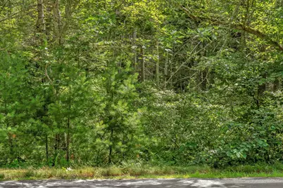Lot 5 Parker Head Road, Phippsburg, ME 04562 - Photo 13