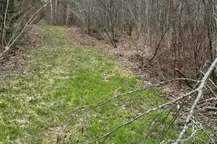 128 Beaulieu Rd, Madawaska, ME 04773 - Photo 51