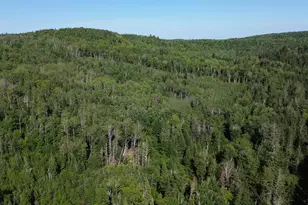 128 Beaulieu Rd, Madawaska, ME 04773 - Photo 79