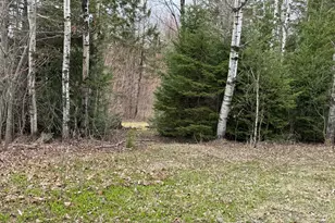 128 Beaulieu Rd, Madawaska, ME 04773 - Photo 57