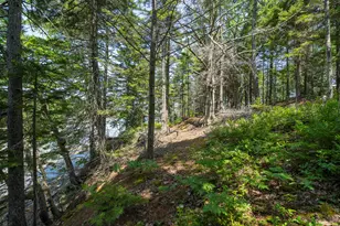 131 Winding Way, Harpswell, ME 04079 - Photo 61