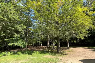 794 Thurston Hill Rd, Madison, ME 04950 - Photo 19