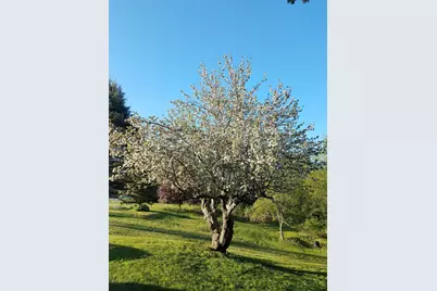 215 East Road, Wales, ME 04280 - Photo 33