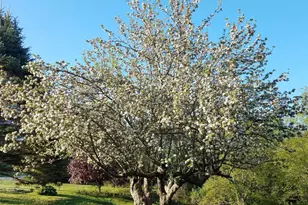 215 East Road, Wales, ME 04280 - Photo 33