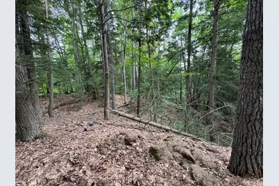 Lot # 18-1 Sanborn Street, Gorham, ME 04038 - Photo 5