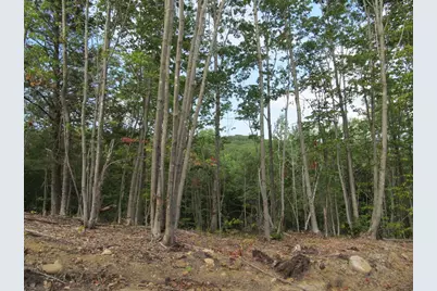 L2 McAllister Road, Buckfield, ME 04220 - Photo 9