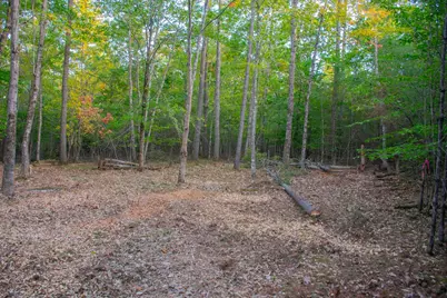 Tbd New Dam Road, Waterboro, ME 04061 - Photo 15