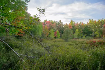 Tbd New Dam Road, Waterboro, ME 04061 - Photo 21