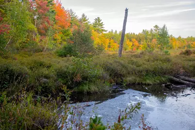 Tbd New Dam Road, Waterboro, ME 04061 - Photo 17