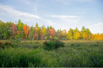 Tbd New Dam Road, Waterboro, ME 04061 - Photo 19
