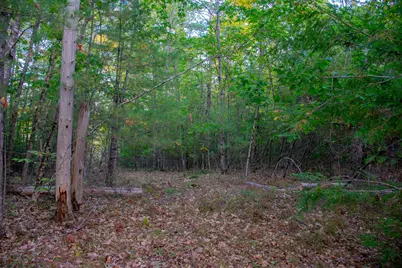 Tbd New Dam Road, Waterboro, ME 04061 - Photo 13