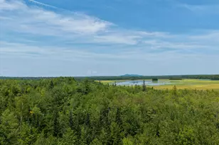 194 Seboeis Rd, Howland, ME 04448 - Photo 1