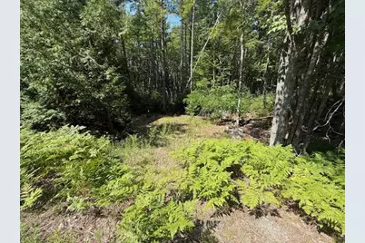 377 Front Ridge Road, Penobscot, ME 04476 - Photo 5