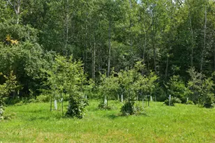515 Dodlin Rd, Enfield, ME 04493 - Photo 11