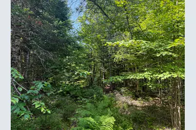 132 Rainy Road, Prentiss, ME 04487 - Photo 17