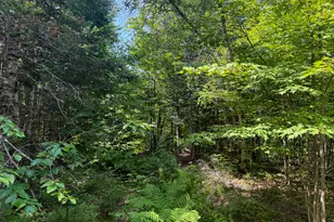 132 Rainy Rd, Prentiss, ME 04487 - Photo 17