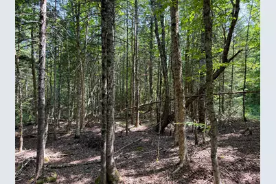 132 Rainy Road, Prentiss, ME 04487 - Photo 27