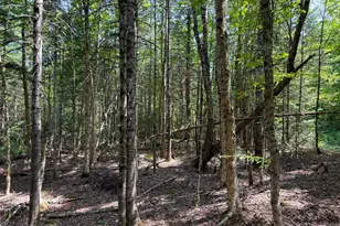 132 Rainy Rd, Prentiss, ME 04487 - Photo 27
