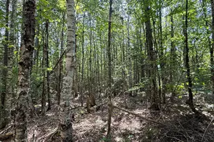 132 Rainy Rd, Prentiss, ME 04487 - Photo 21