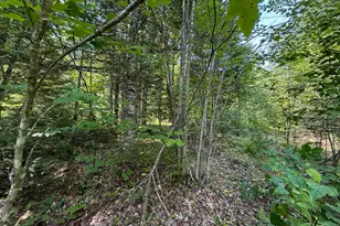 132 Rainy Rd, Prentiss, ME 04487 - Photo 19
