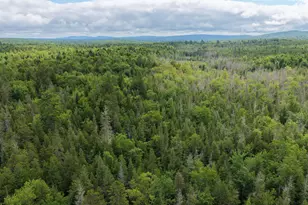 132 Rainy Rd, Prentiss, ME 04487 - Photo 9