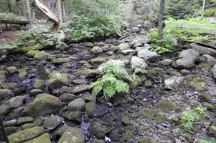 154 W Paris Rd, Greenwood, ME 04255 - Photo 21