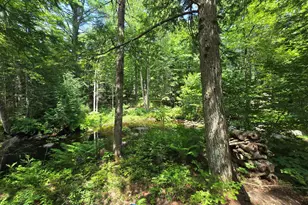 154 W Paris Rd, Greenwood, ME 04255 - Photo 41