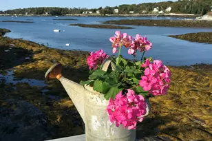 195 Beach Rd, Portland, ME 04019 - Photo 63