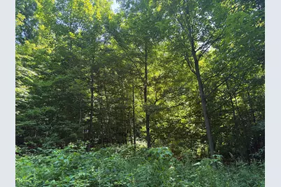 Lot 2 Park St. (Route 133), Livermore Falls, ME 04254 - Photo 13